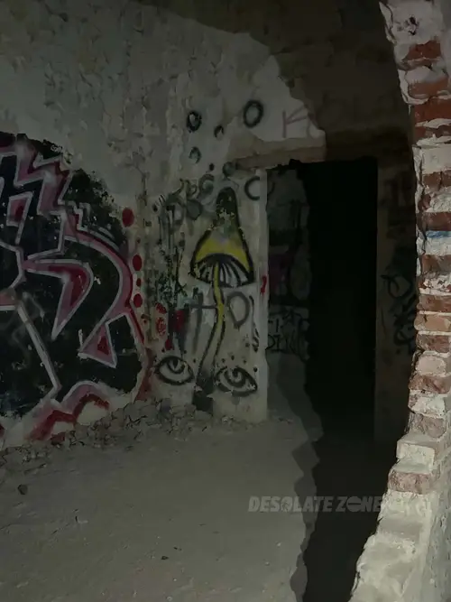 Zakład dla Nerwowo i Psychicznie Chorych Żydów - Zofiówka - photo 14/334