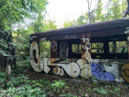 Wagon - zdjęcie 8/11