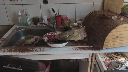Opuszczony dom z bronią - zdjęcie 51/69