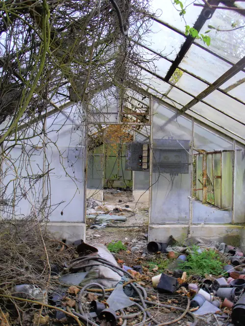 Opuszczone szklarnie - zdjęcie 5/7