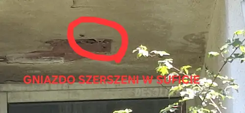 opuszczony hotel - zdjęcie 16/24