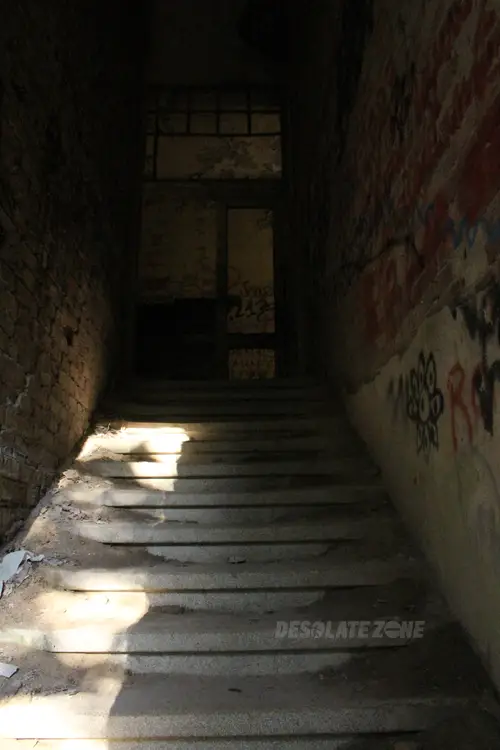 Zakład dla Nerwowo i Psychicznie Chorych Żydów - Zofiówka - zdjęcie 10/425