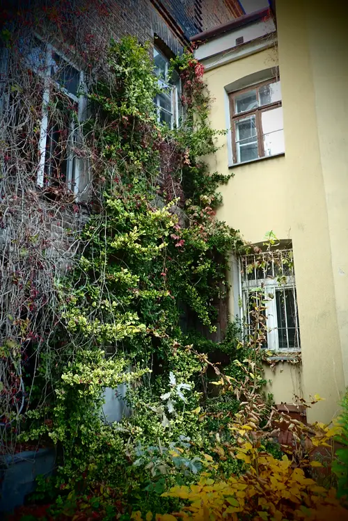 Opuszczona kamienica piaseczno - photo 1/8