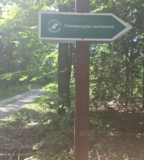 Starożytny cmentarz kurhanowy