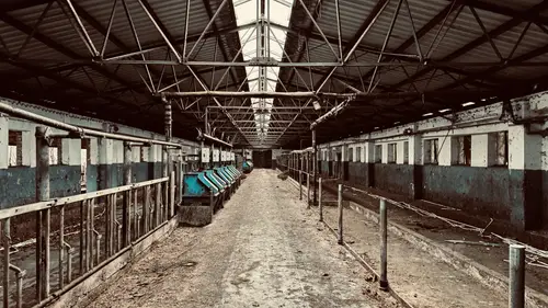 Gospodarstwo - zdjęcie 25/26