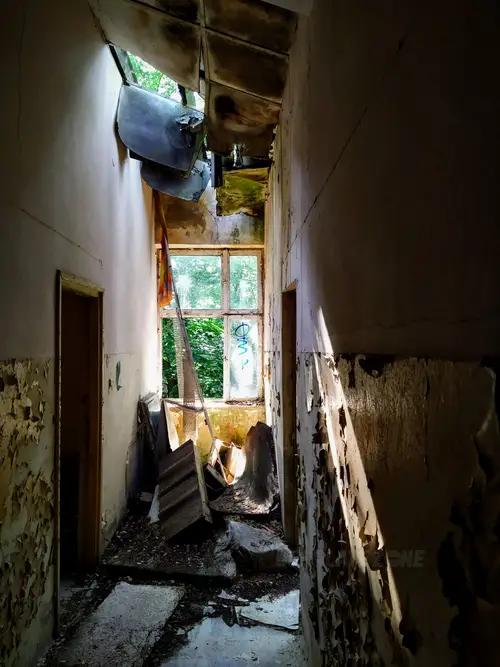 Kolonie w Justynowie, Justynów - photo 7/71