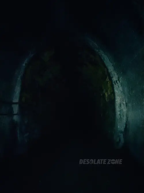 Tunel kolejowy pod Małym Wołowcem - zdjęcie 17/22