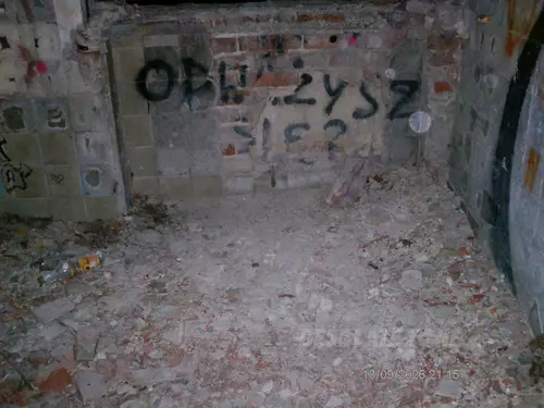 Zakład dla Nerwowo i Psychicznie Chorych Żydów - Zofiówka - zdjęcie 35/425