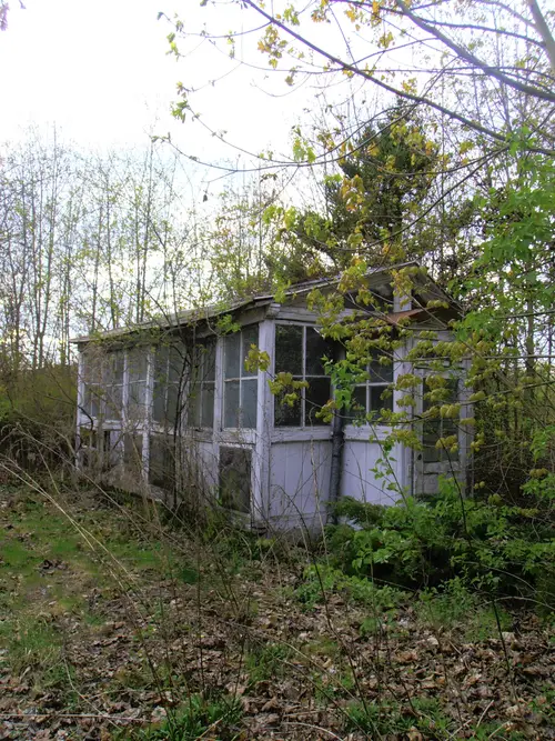 Opuszczone szklarnie - zdjęcie 4/7