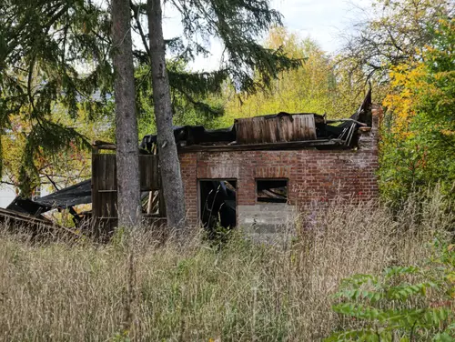 Ruiny domu i stodoły - zdjęcie 1/12