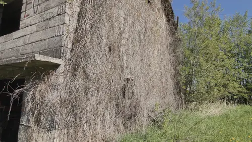 Budynek