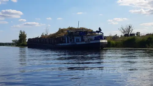 Opuszczona barka "Regina" - zdjęcie 1/8