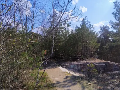 Zakład dla Nerwowo i Psychicznie Chorych Żydów - Zofiówka - photo 12/277