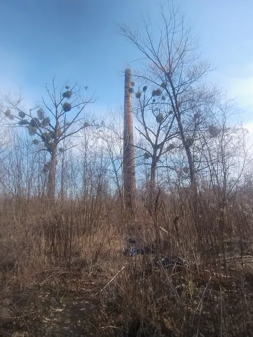 Komin dawnej odlewni żeliwa - photo 1/5