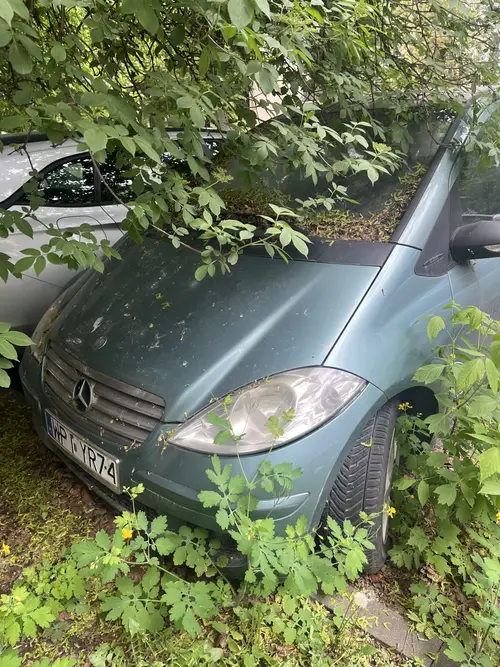 Porzucony Mercedes - photo 1/5