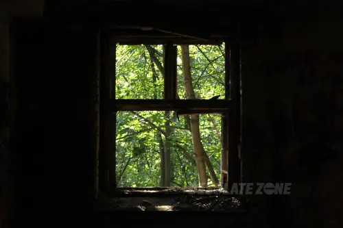 Zakład dla Nerwowo i Psychicznie Chorych Żydów - Zofiówka - zdjęcie 21/425