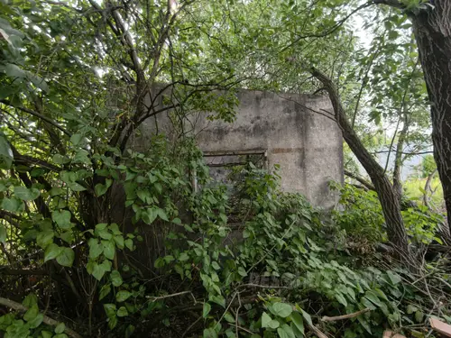 Cmentarzysko samochodów