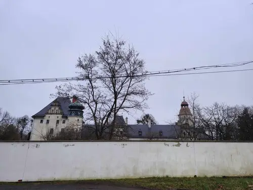 Pałac, Dąbrowa Niemodlińska - zdjęcie 4/11