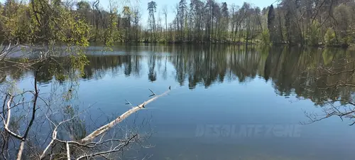 Opuszczona leśniczówka