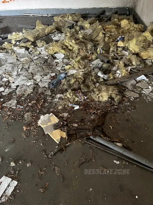 Magazyny / Stara fabryka - zdjęcie 2/7