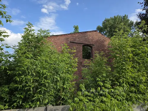 Zakłady Tkanin Wełnianych Mazovia, Tomaszów Mazowiecki