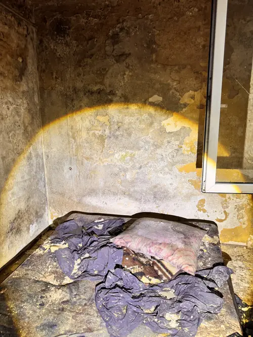 Mocno zarośnięty dom przy drodze - zdjęcie 27/28