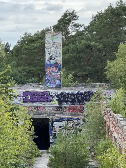 Zakład dla Nerwowo i Psychicznie Chorych Żydów - Zofiówka - photo 20/360