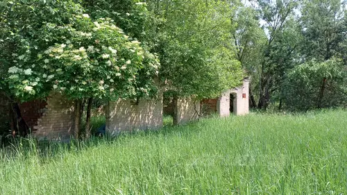Opuszczone zabudowania - zdjęcie 5/8