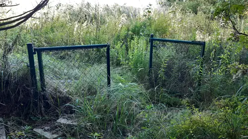 Opuszczone kąpielisko miejskie - photo 32/46