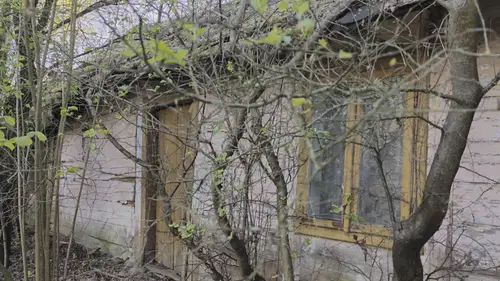 Dom i stodoła - zdjęcie 9/16