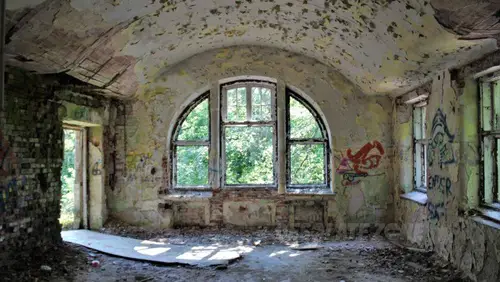 Zakład dla Nerwowo i Psychicznie Chorych Żydów - Zofiówka - photo 4/334