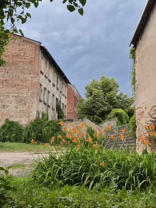 Ruiny Budynków - photo 2/6