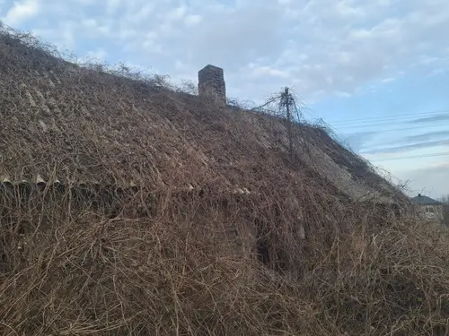 Opuszczony dom, Dzierdziówka