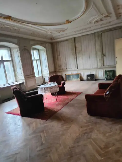 Pałac, Dąbrowa Niemodlińska - zdjęcie 2/11