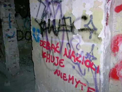 Zakład dla Nerwowo i Psychicznie Chorych Żydów - Zofiówka - zdjęcie 38/425