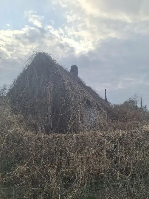 Opuszczony dom, Dzierdziówka