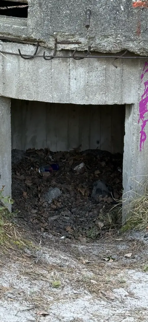 Grzybek - bunkier strzelniczy Hel - zdjęcie 3/3