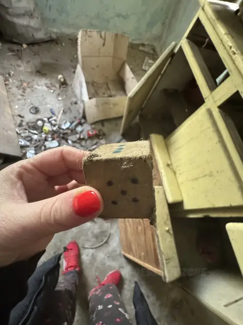 Opuszczone gospodarstwo - zdjęcie 2/27