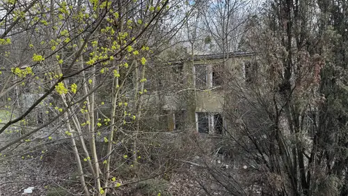 Akademiki SGGW - zdjęcie 11/28