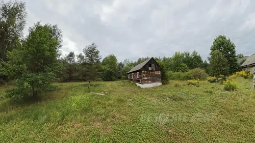 OPUSZCZONE GOSPODARSTWO W LESIE - photo 4/6