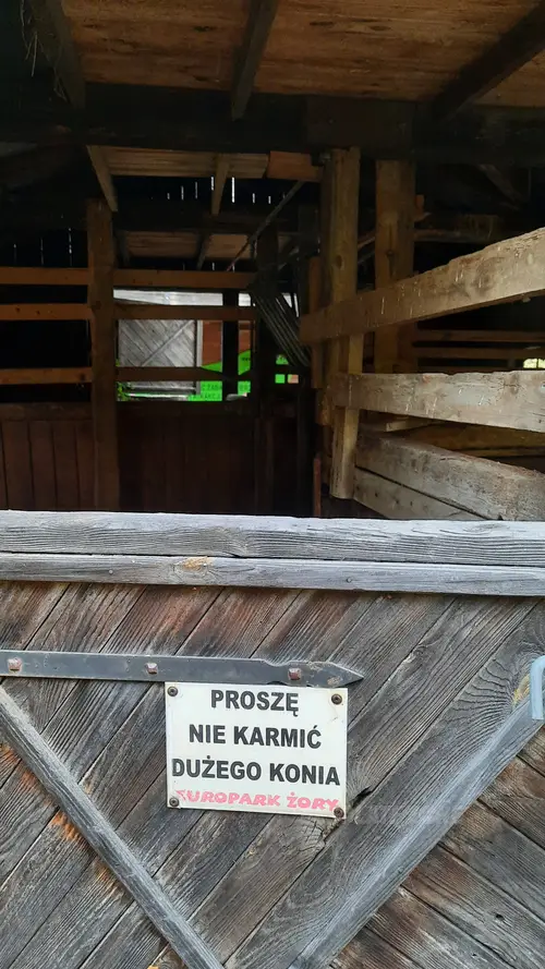 Park Rozrywki - zdjęcie 9/15