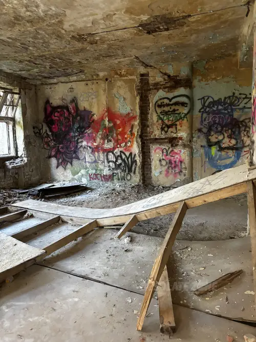 Zakład dla Nerwowo i Psychicznie Chorych Żydów - Zofiówka - zdjęcie 20/312