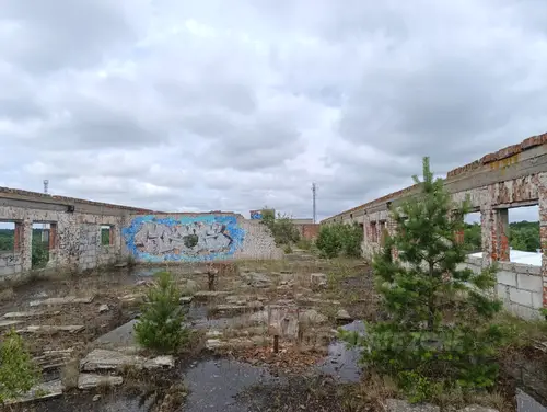 Opuszczone budynki po dawnych koszarach wojskowych, Borne Sulinowo - photo 14/40