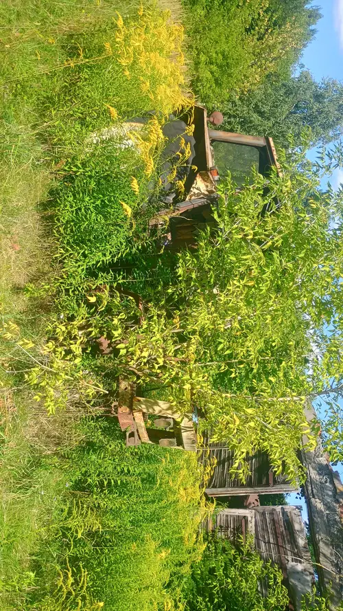 Cmentarzysko pojazdów, Karolew - photo 5/62