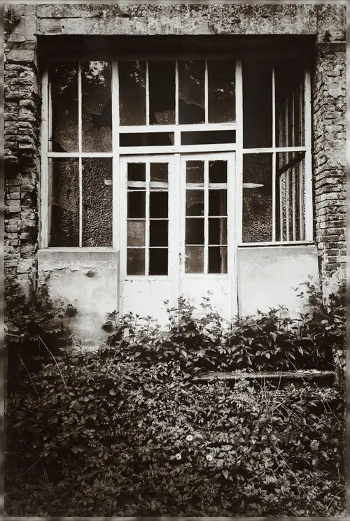 Pałac Reiswitzów w Wędryni, Wędrynia - photo 3/42