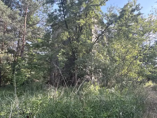 Opuszczone kurniki / dawna ferma drobiu - zdjęcie 11/19