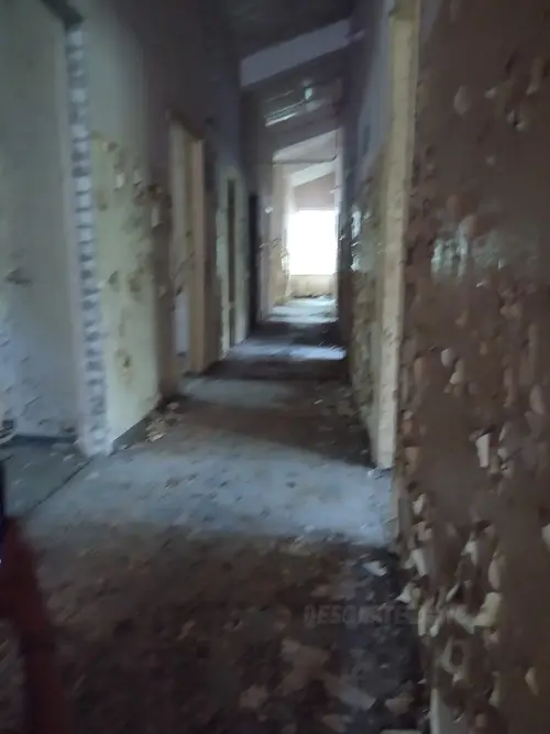 Kolonie w Justynowie, Justynów - photo 4/71