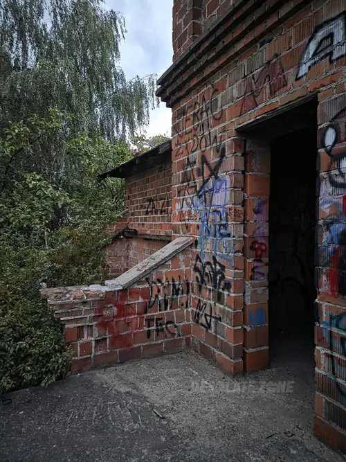 Niedokończona Willa i domek obok - photo 3/34