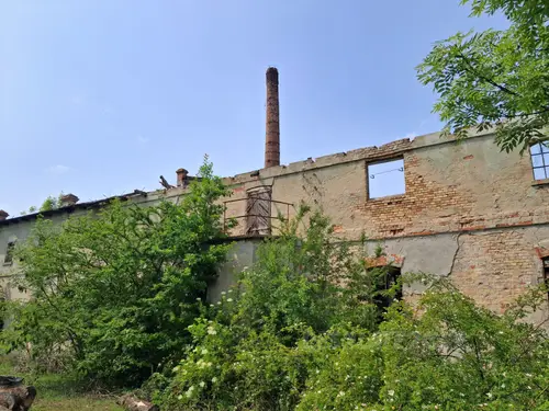 Krochmalnia, Borzymie - zdjęcie 7/11