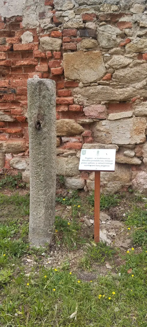 Zespół klasztorno-pałacowy, Wierzbna - zdjęcie 1/11